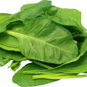 NL’s Hydroponic Spinach-500gms