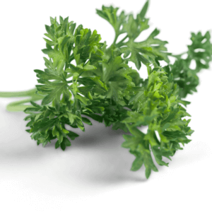 NL’s Hydroponic Parsley