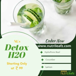 NL’s Detox H2O (330 ML)