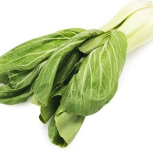 NL’s Hydroponic Bokchoy